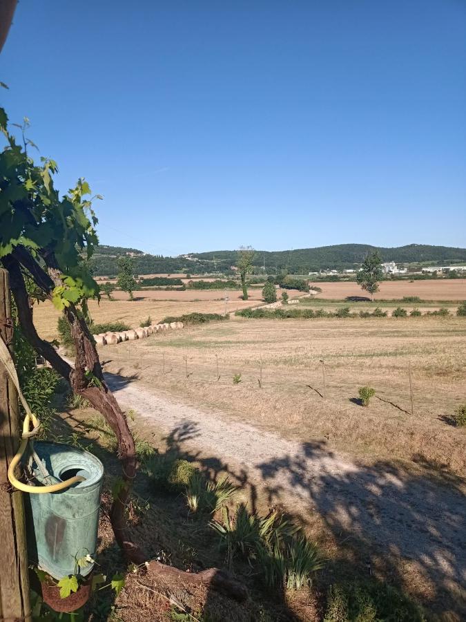 Agriturismo Podere La Selva Βίλα Serre Di Rapolano Εξωτερικό φωτογραφία