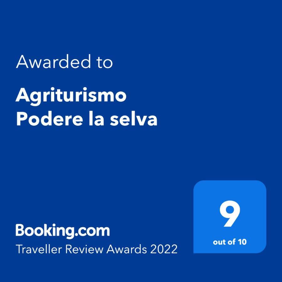 Agriturismo Podere La Selva Βίλα Serre Di Rapolano Εξωτερικό φωτογραφία