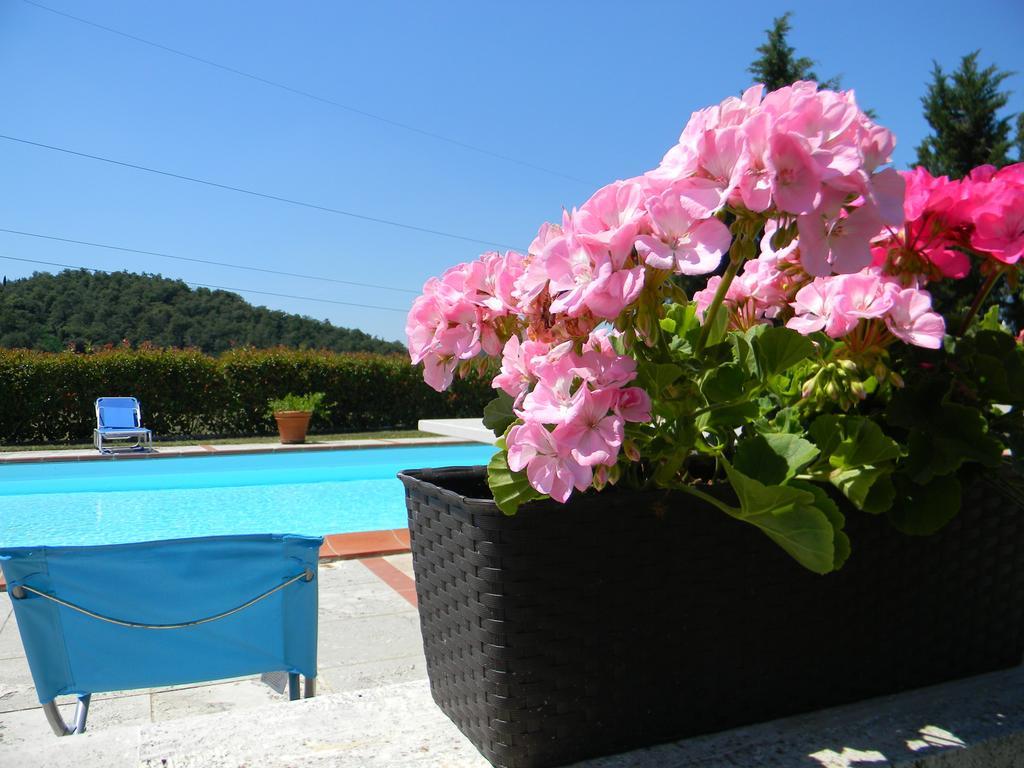Agriturismo Podere La Selva Βίλα Serre Di Rapolano Εξωτερικό φωτογραφία