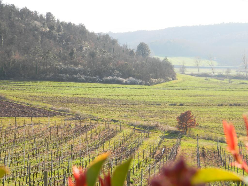 Agriturismo Podere La Selva Βίλα Serre Di Rapolano Εξωτερικό φωτογραφία