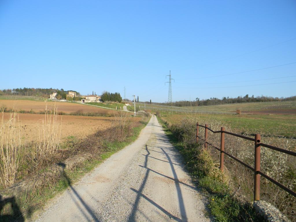 Agriturismo Podere La Selva Βίλα Serre Di Rapolano Εξωτερικό φωτογραφία