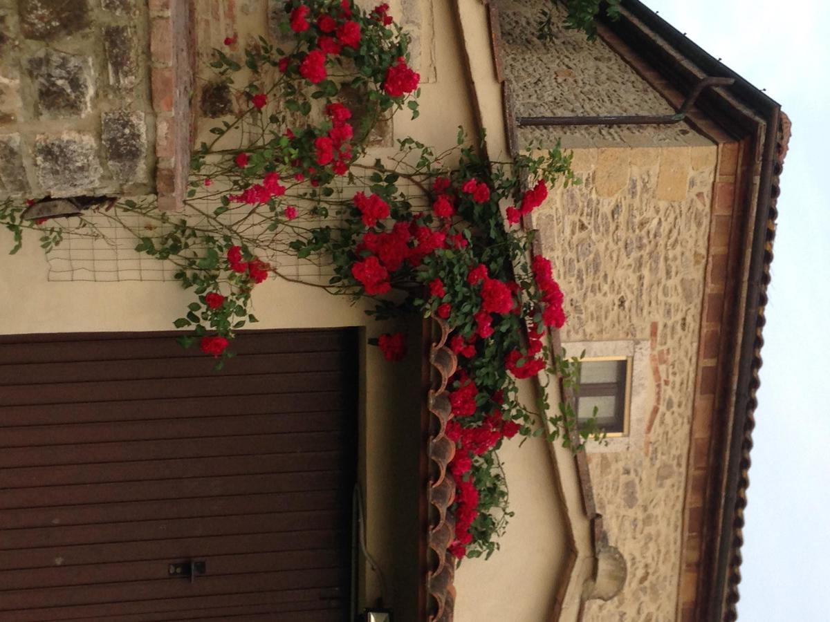 Agriturismo Podere La Selva Βίλα Serre Di Rapolano Εξωτερικό φωτογραφία