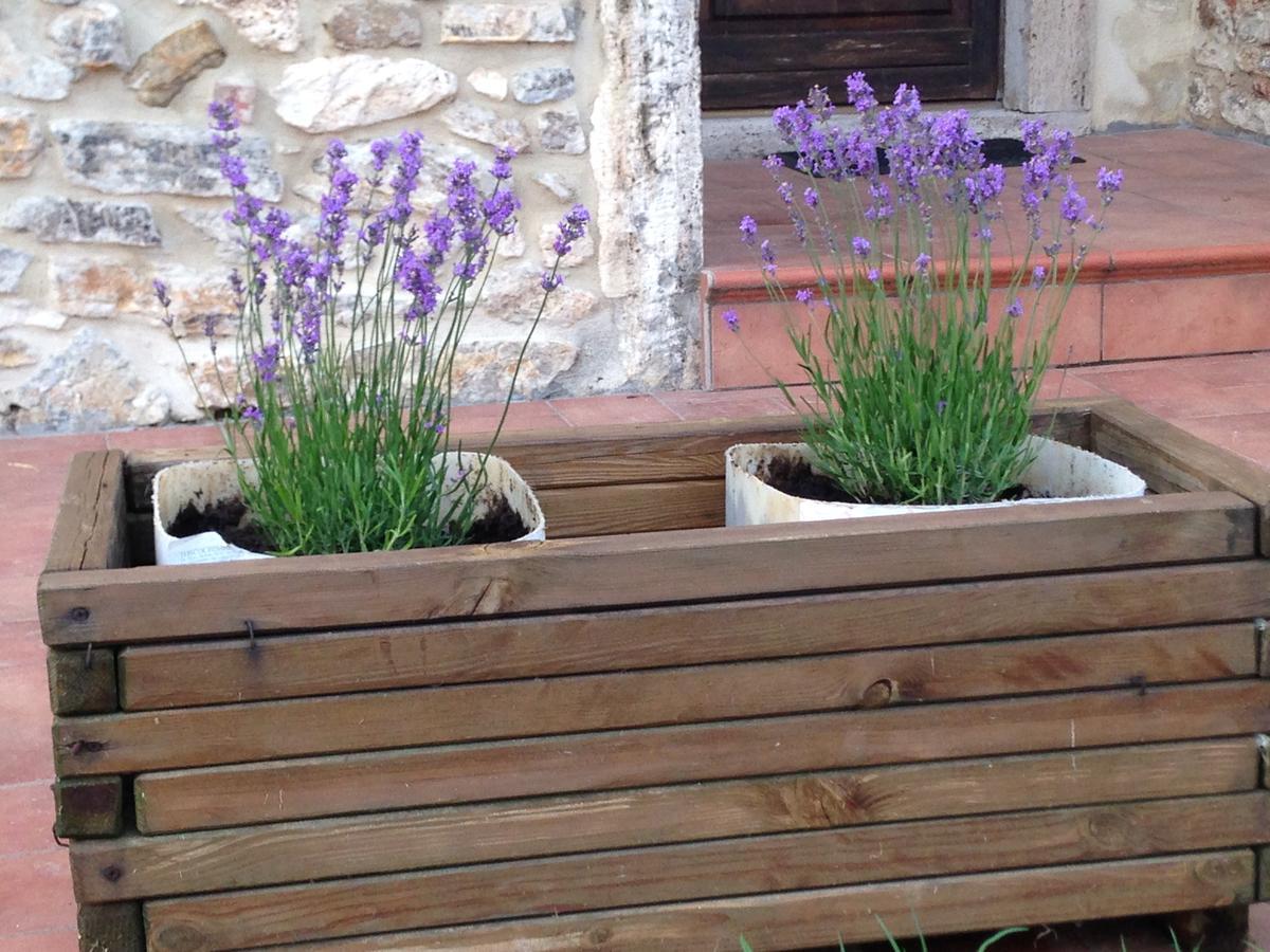 Agriturismo Podere La Selva Βίλα Serre Di Rapolano Εξωτερικό φωτογραφία